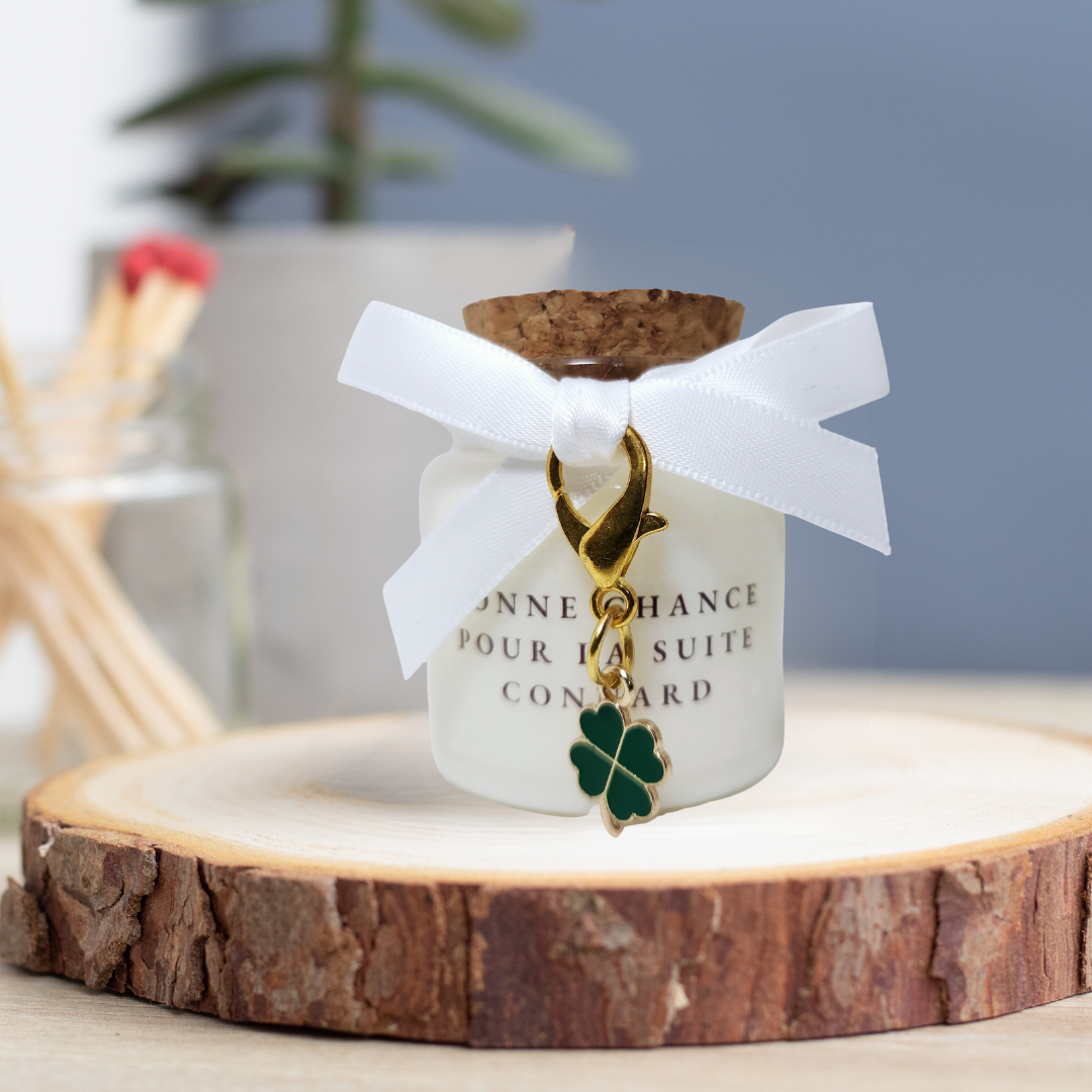 Bougie humoristique "Bonne chance pour la suite connard" – Cadeau de fête de divorce, séparation ou rupture amoureuse.