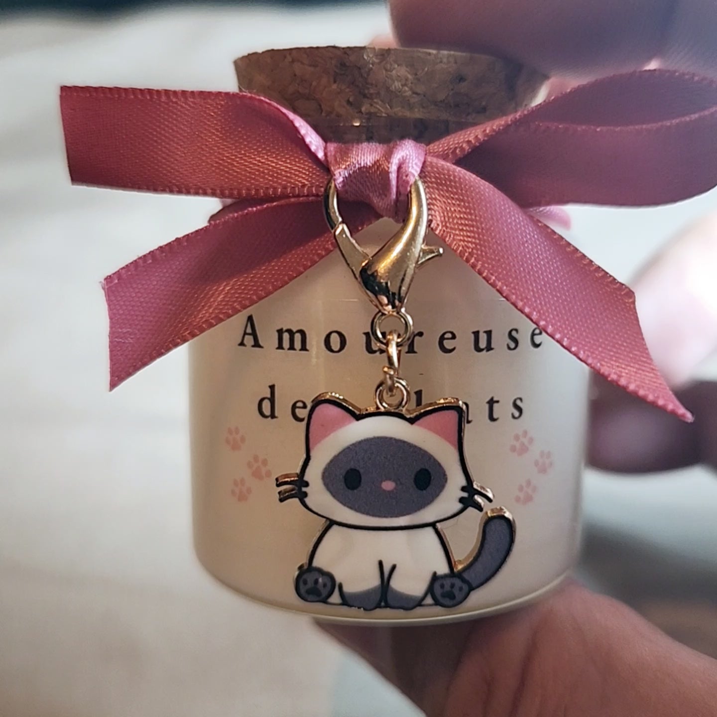 cadeau-pour-animaux-chats